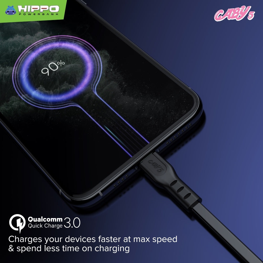 Hippo Kabel Caby 5 100Cm  Micro Type C Lightning Data Cable USB 3A 1M 6