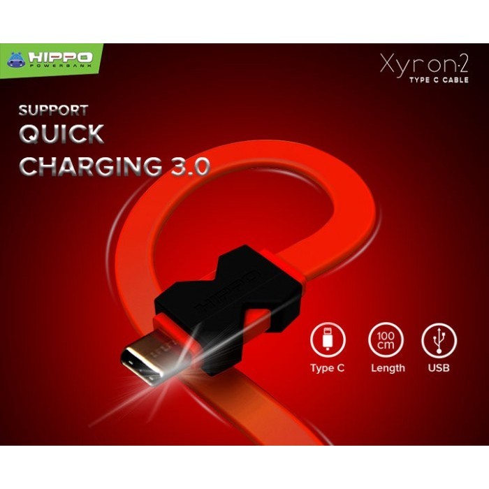 Hippo Xyron 2 Type C Kabel Data &amp; Charger – 100cm 2