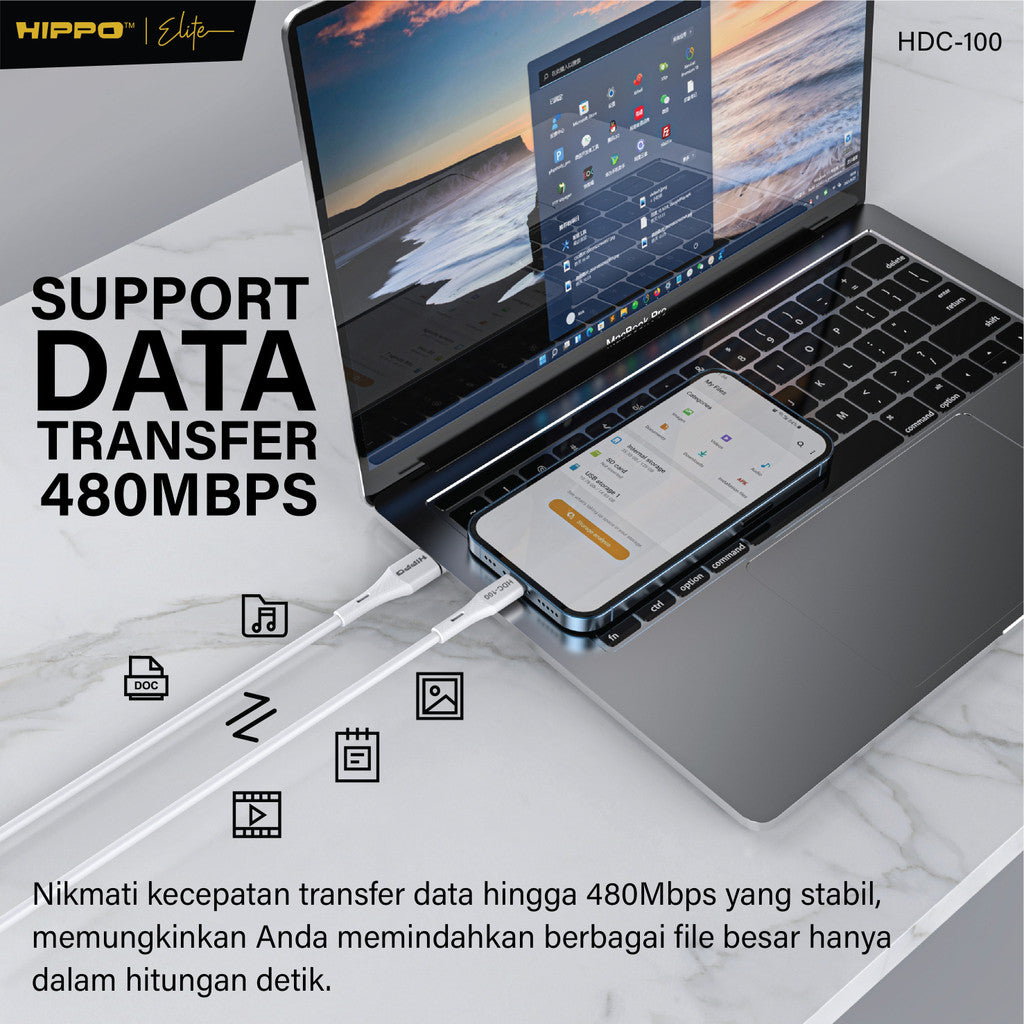 Hippo Kabel Data HDC-100 4