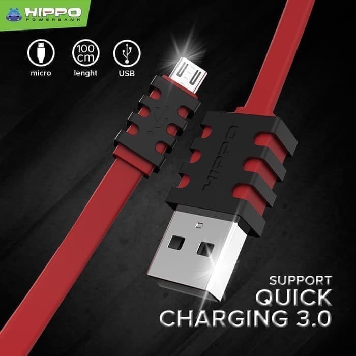 Hippo Kabel Caby2 Panjang 200cm Kabel Charger Micro